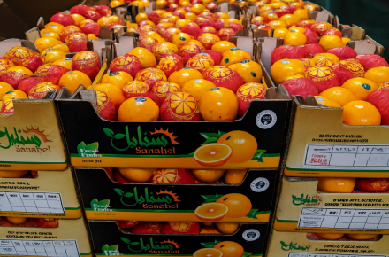 Private Label Packaging in the Fruit Export Industry