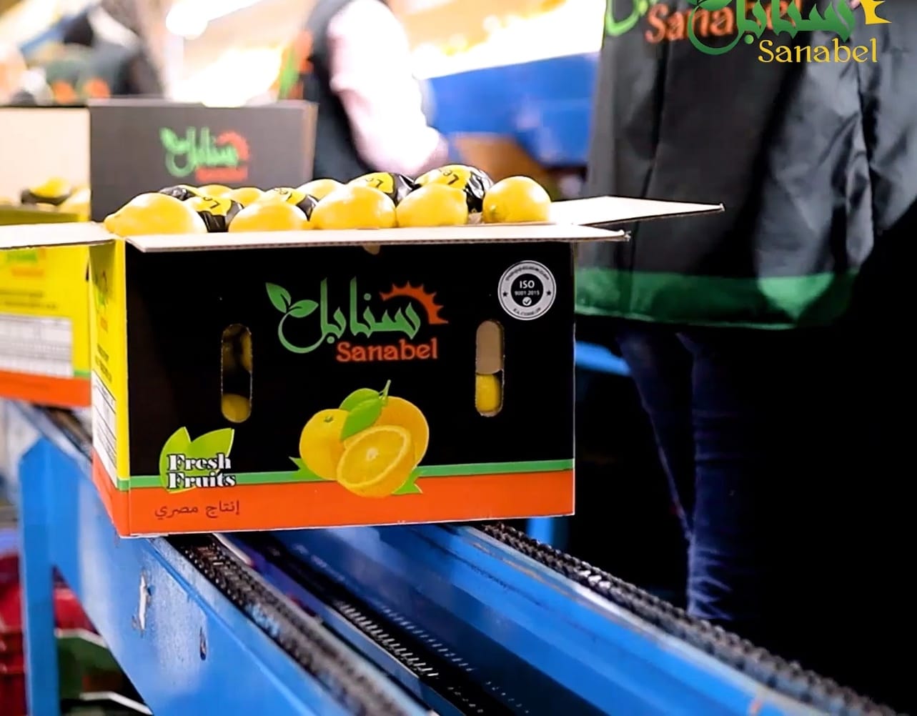 Zesty & Fresh: The Secret Behind Sanabel’s Premium Egyptian Lemons