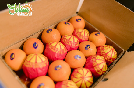 The Role of Quality Standards in Fresh Fruit Export