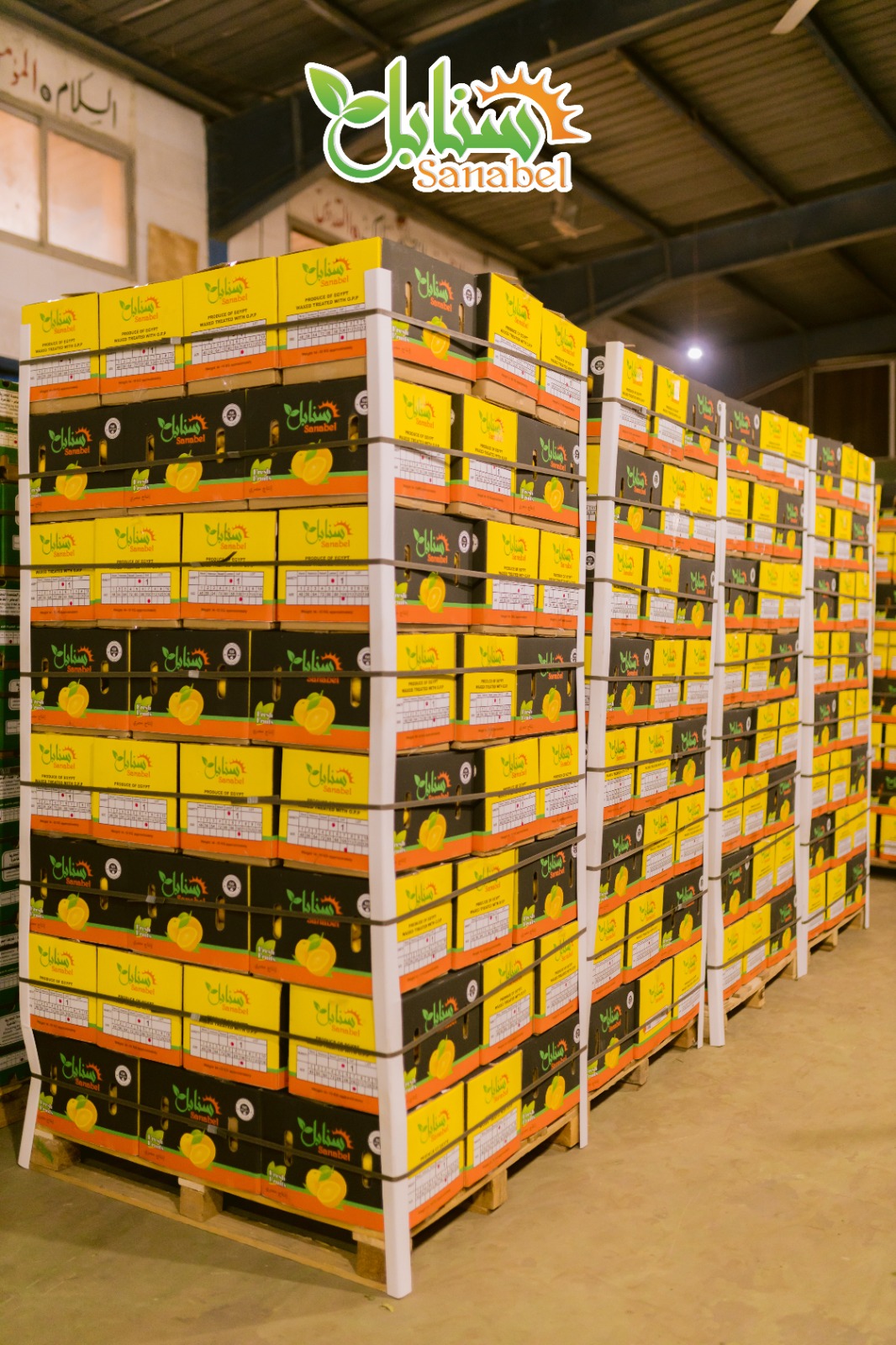 Advanced Packaging Solutions