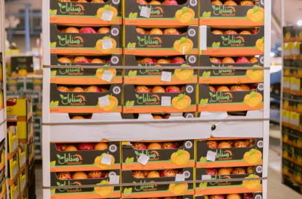 Egyptian Citrus Standards: What Importers Should Know